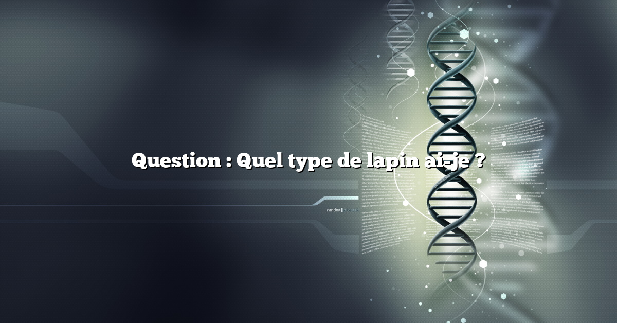 Question : Quel type de lapin ai-je ?